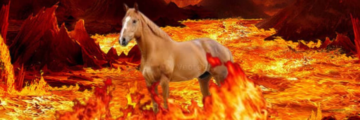 Horse Hater's banner