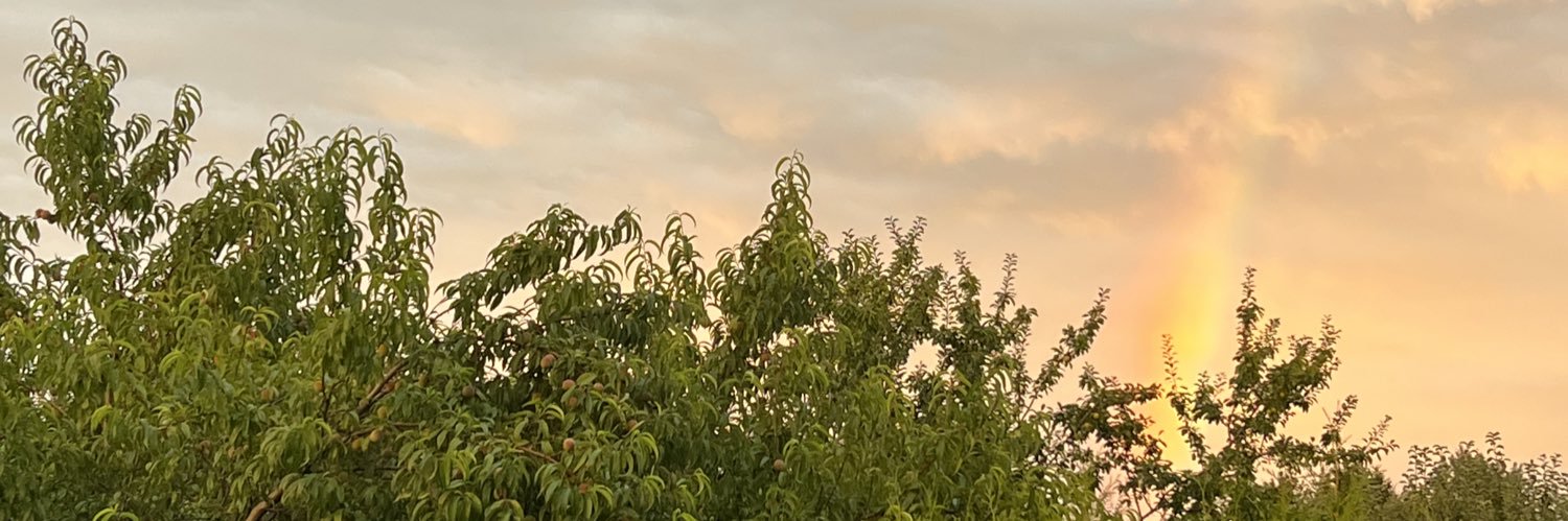 idesiknac's profile banner image