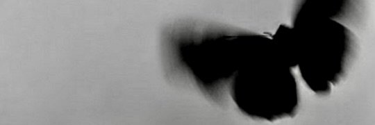 yoongiums___'s profile banner image