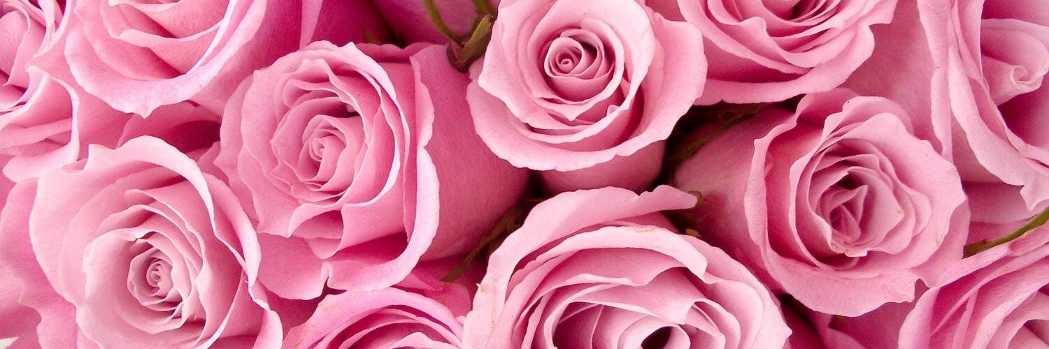 BröllopsGuiden banner