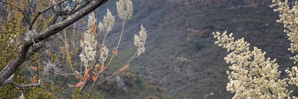 Andrella87's profile banner image