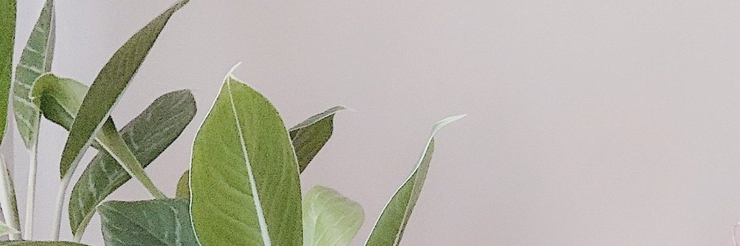 Reevesee047810's profile banner image