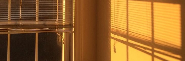 Abbie 𓍢ִ໋⋆🐝˚ banner