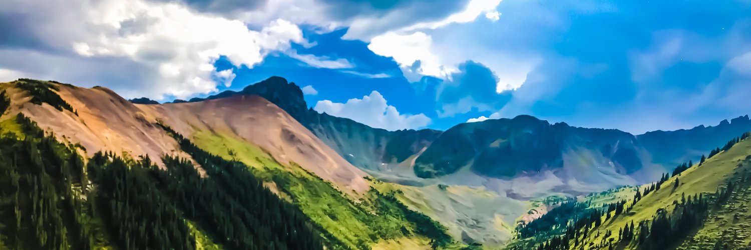 Michelle Tollefson banner