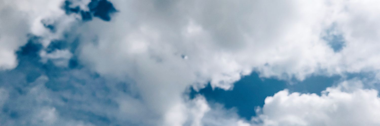 TanliLundgren's profile banner image