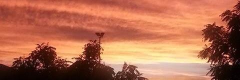 Miroga21's profile banner image