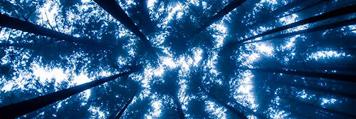 BorakJR7's profile banner image