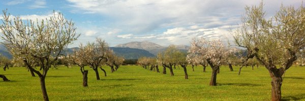 JuliaHShaw Profile Banner