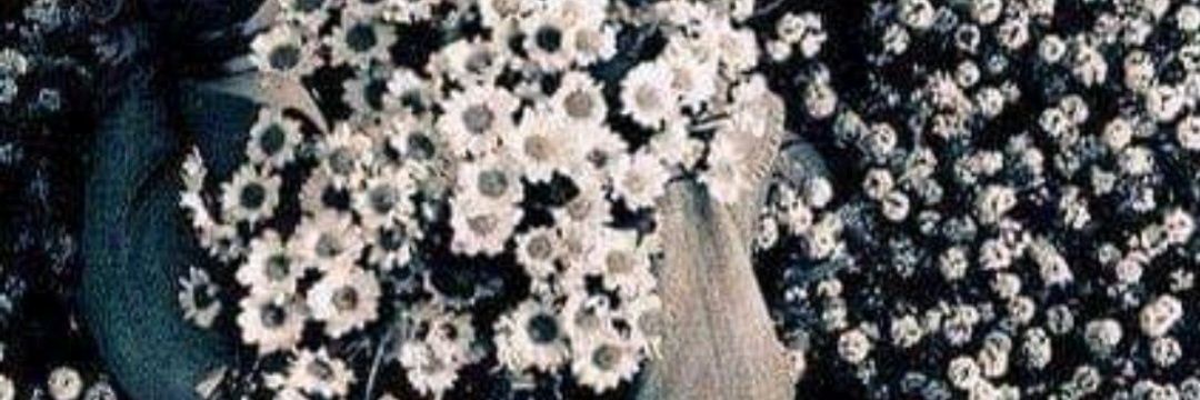 ataismonteiro's profile banner image