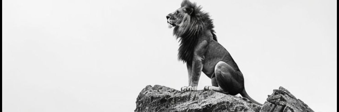 AJMASSALLY's profile banner image