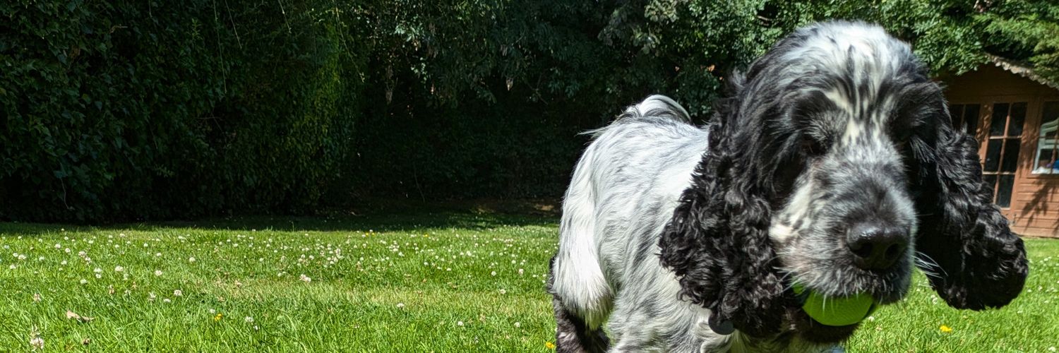 LauraMacG's profile banner image