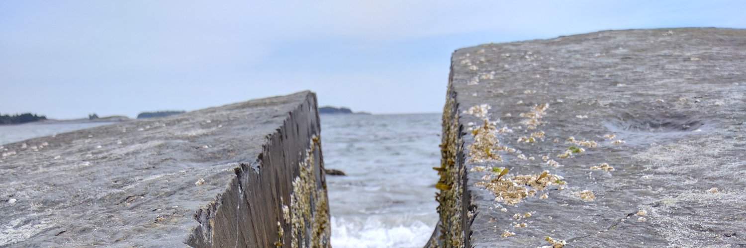 FROGGERS's profile banner image