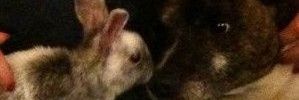 JetArtois's profile banner image
