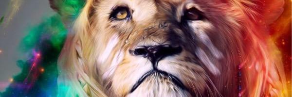 taymmour's profile banner image
