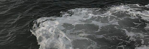 aila. banner