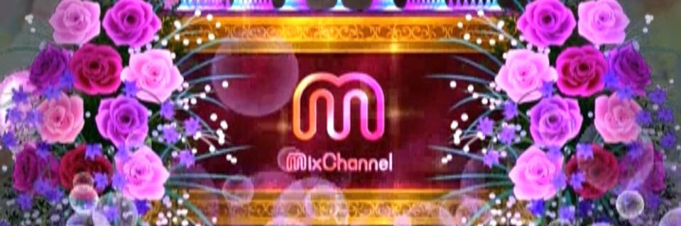 macha8_macha8's profile banner image