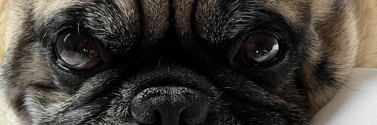 abiguz's profile banner image