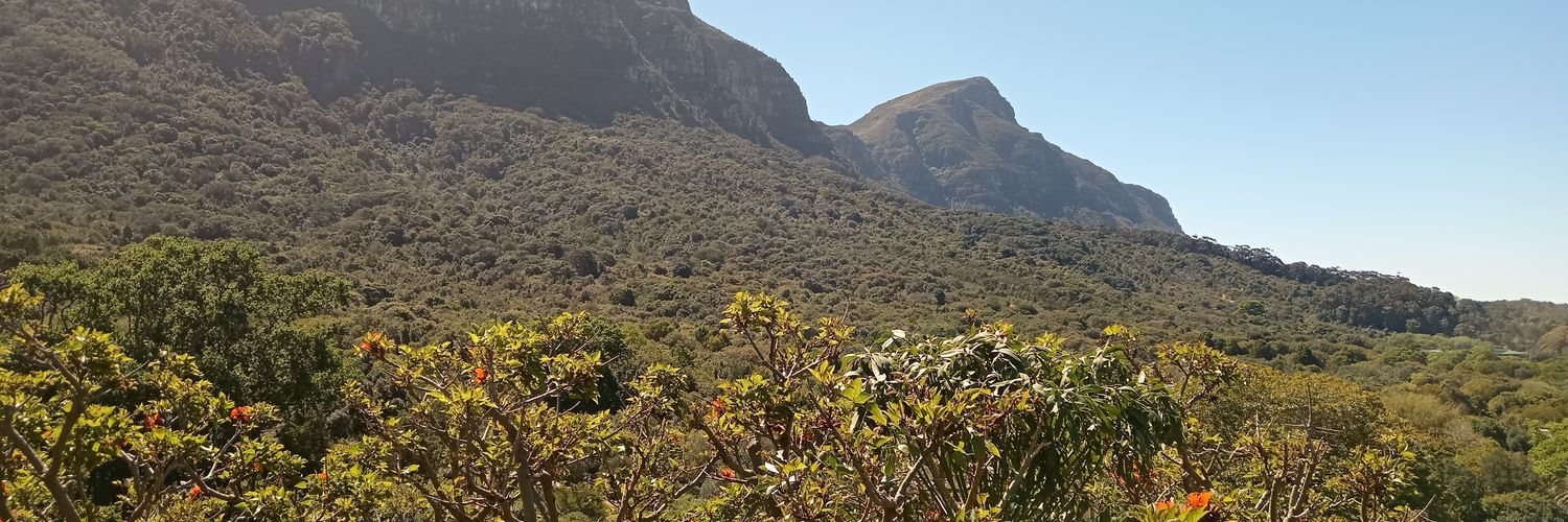 UrbanfarmerSA's profile banner image