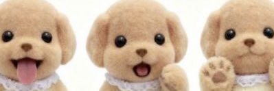 shanification's profile banner image