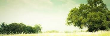 vuong banner