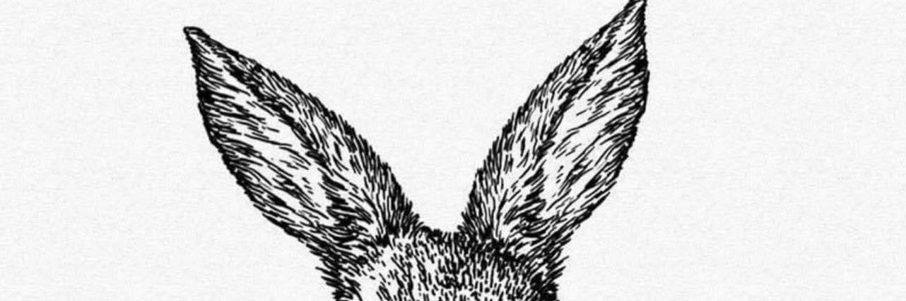 MaxFlane's profile banner image