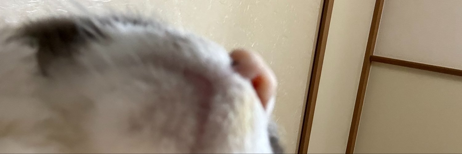 necoandsleep's profile banner image