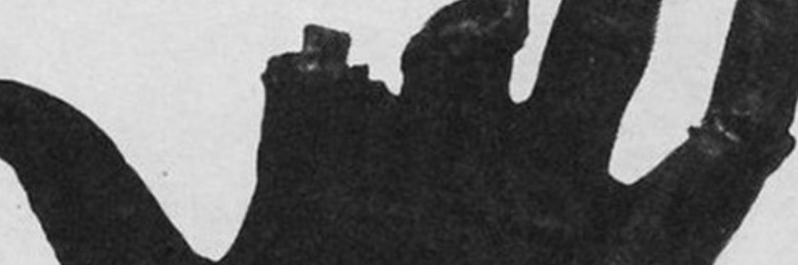 aliancore's profile banner image