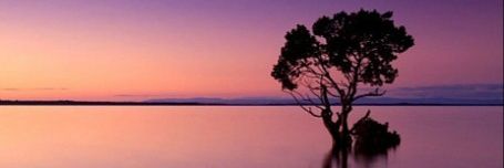 joacoo_rod's profile banner image