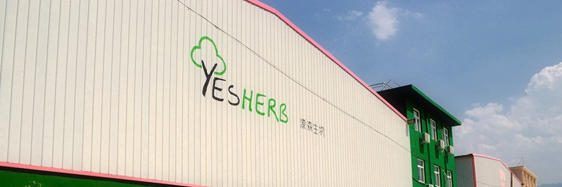 Yesherbbio's profile banner image