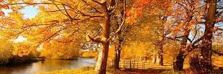 long banner