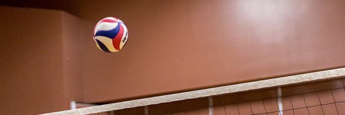 ngibbens's profile banner image