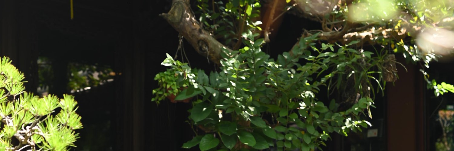 Conleypp766314's profile banner image