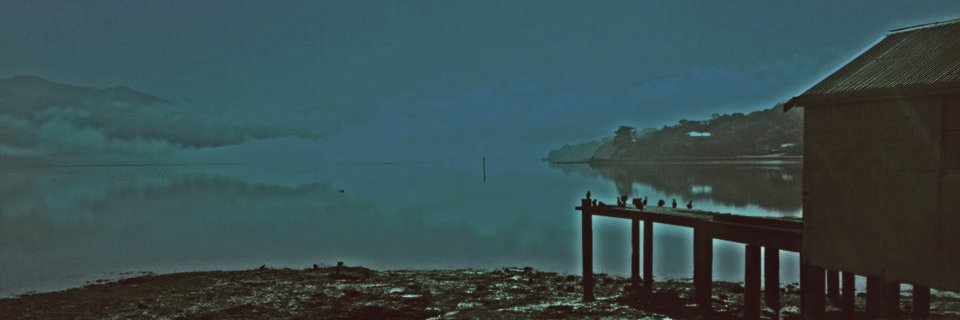 7_SG banner