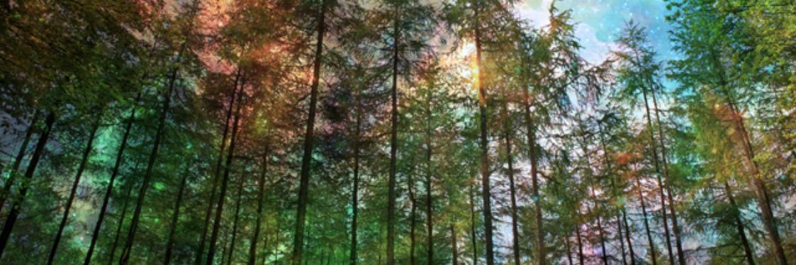 Jungle441's profile banner image