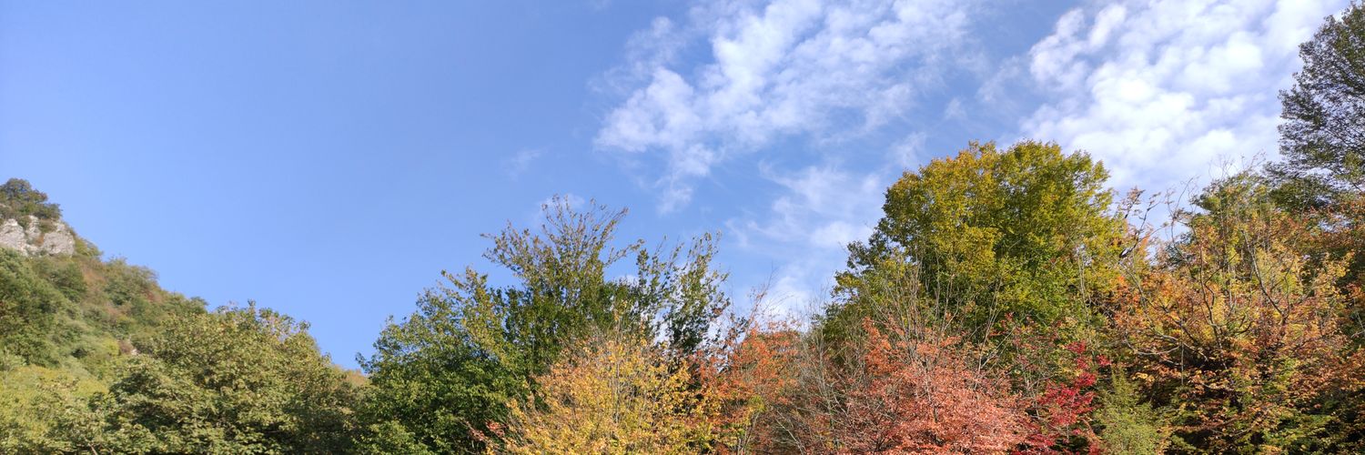 amar31533's profile banner image