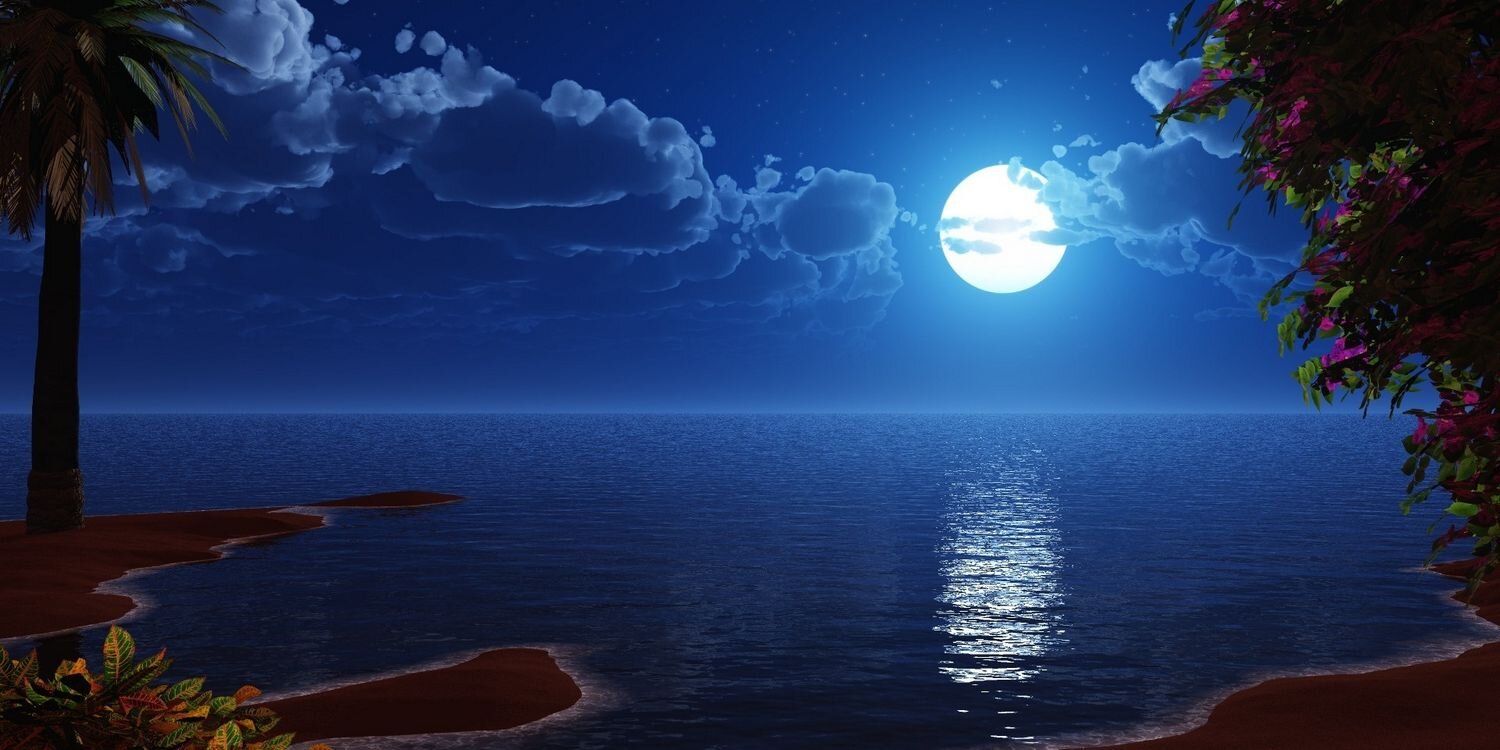 Md_Almasoudi's profile banner image