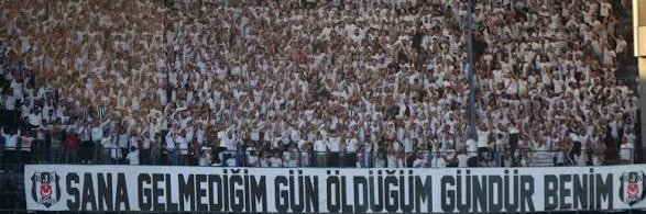 soyoglukaya's profile banner image