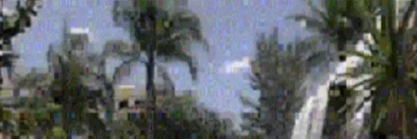 Lilith08170816 Profile Banner