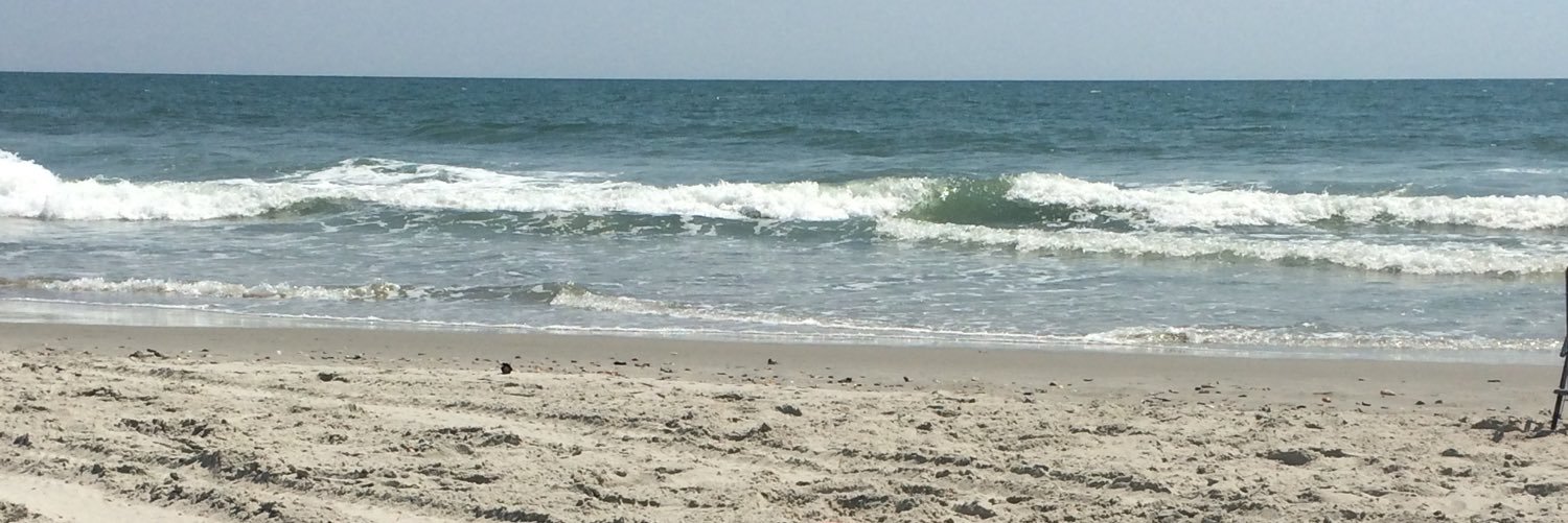 meg843's profile banner image