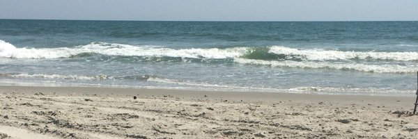 meg843 Profile Banner