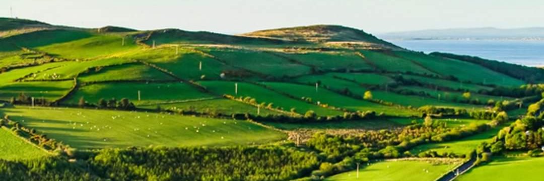 Irish Examiner Farming banner