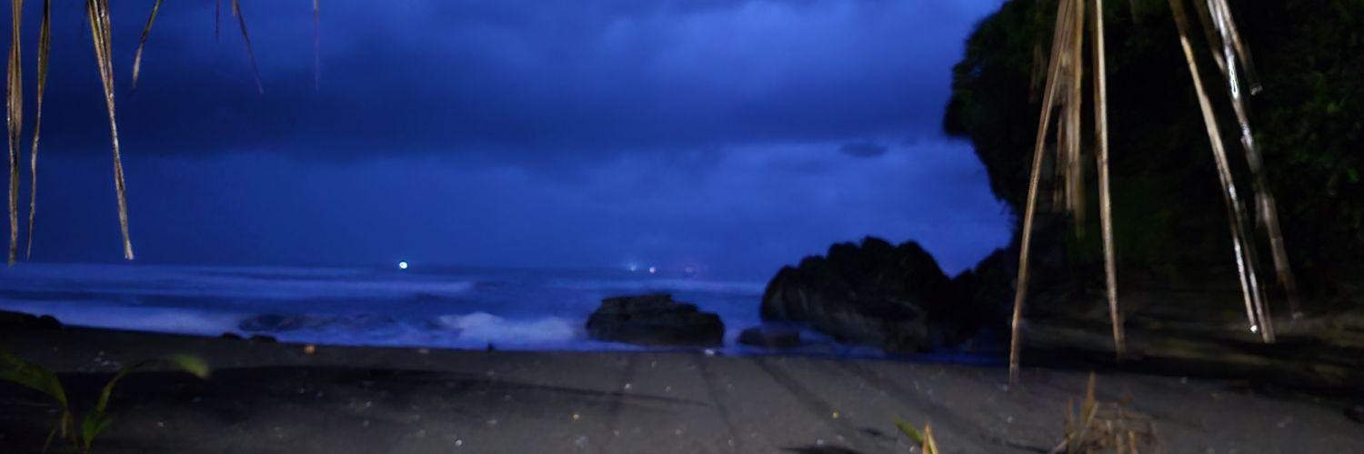 niafdosaurus's profile banner image