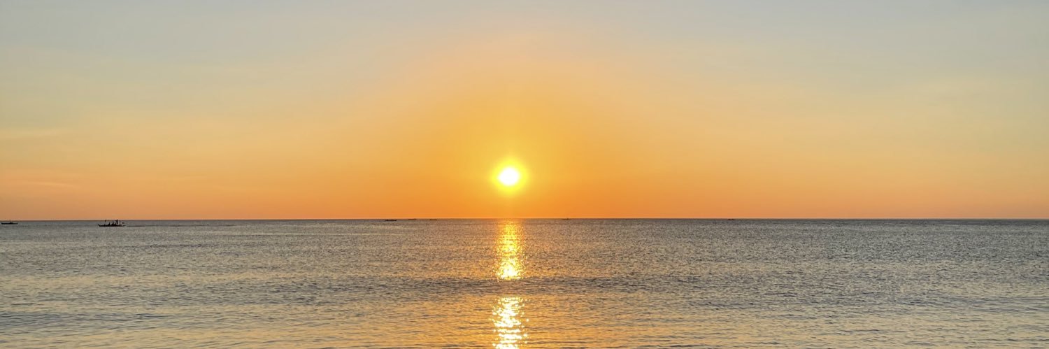 ZozoNft's profile banner image