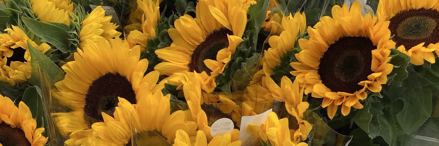 sekotak mochi banner