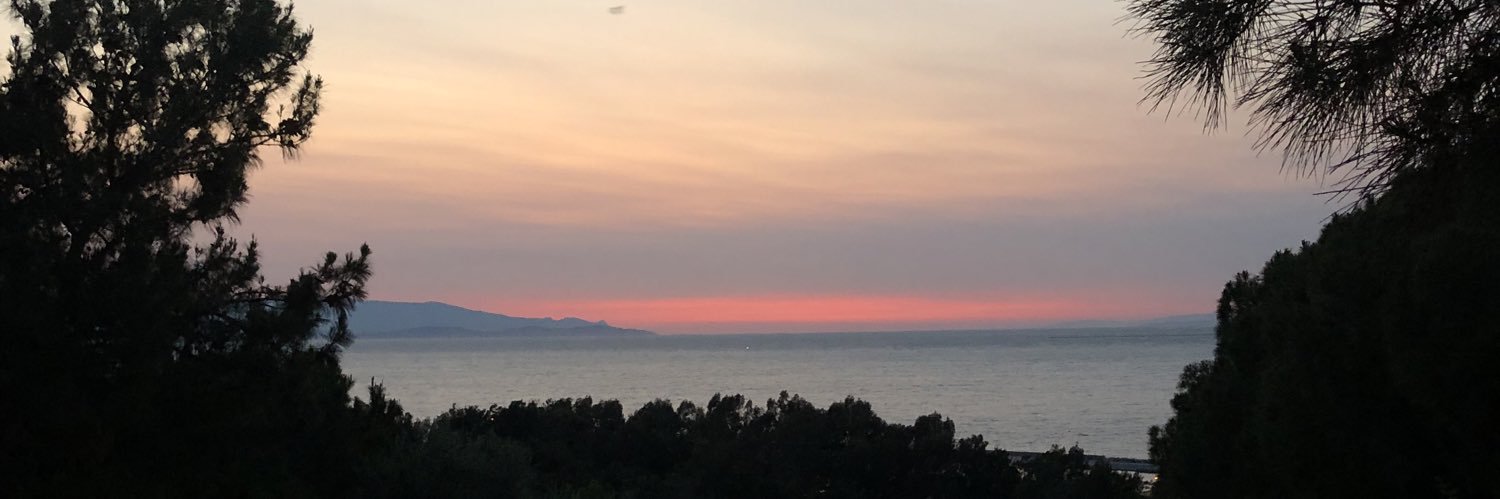 Yusuf 🌿 banner