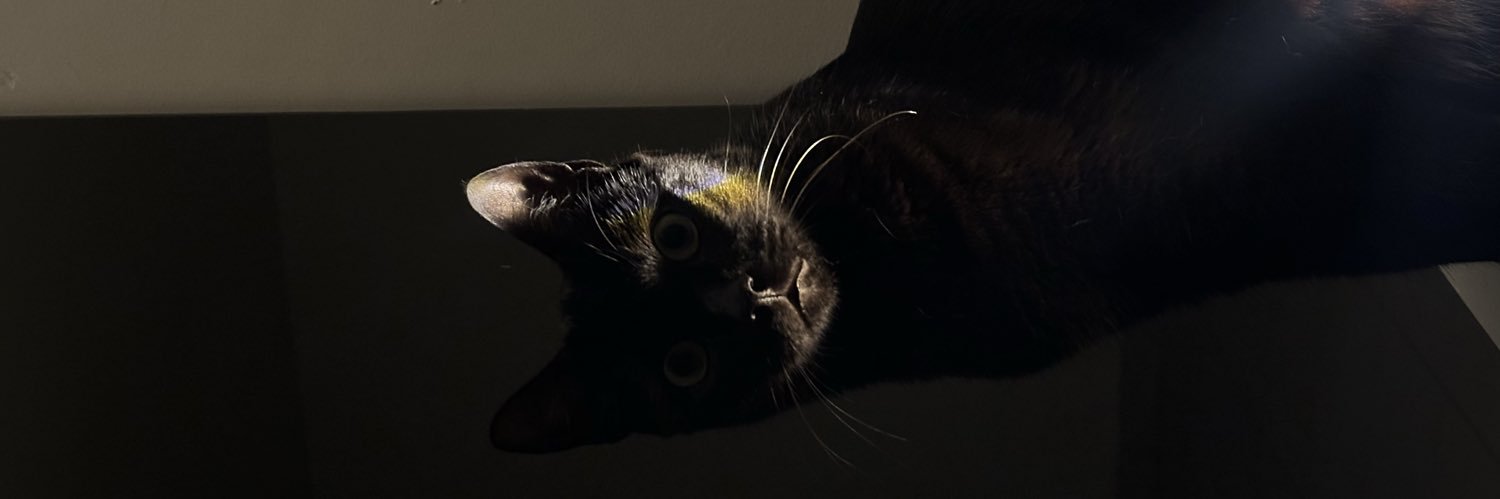 valaakreturn's profile banner image