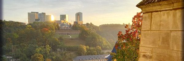 FEnschMAEE Profile Banner
