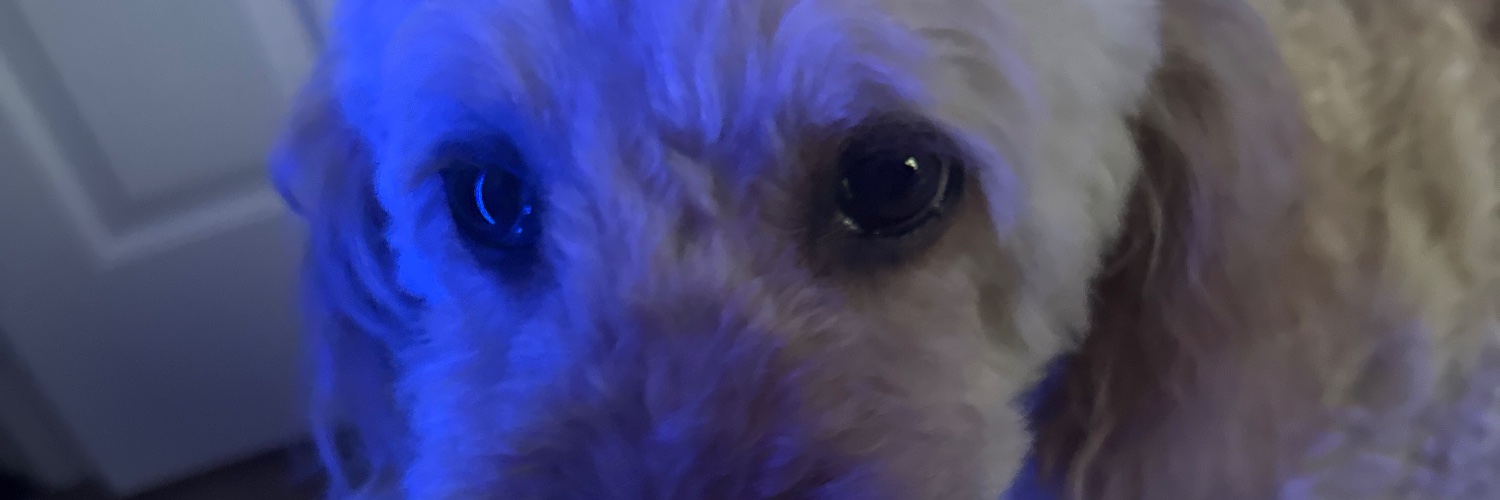 JacksonPro banner