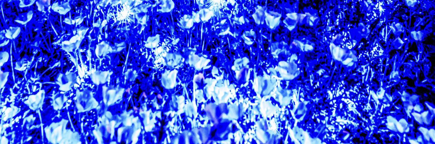 Ledge_Result38's profile banner image