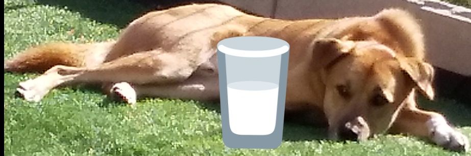 NACS@ろーずは腐った🍊 banner